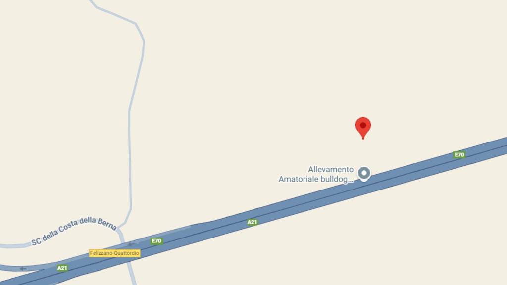 immagine annuncio 2 di 11