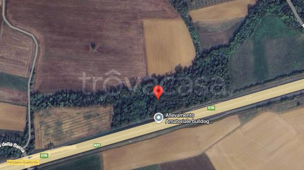 immagine annuncio 10 di 11