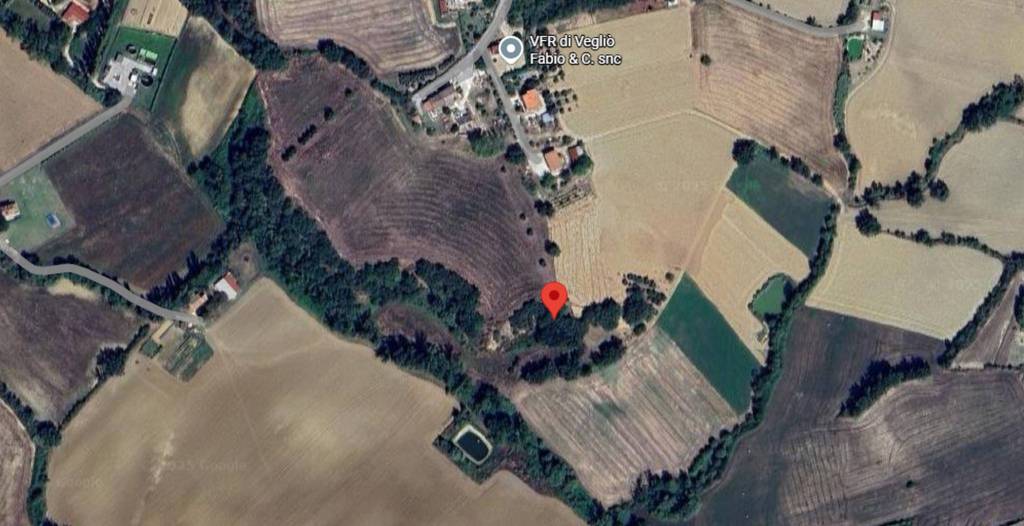 immagine annuncio 6 di 11