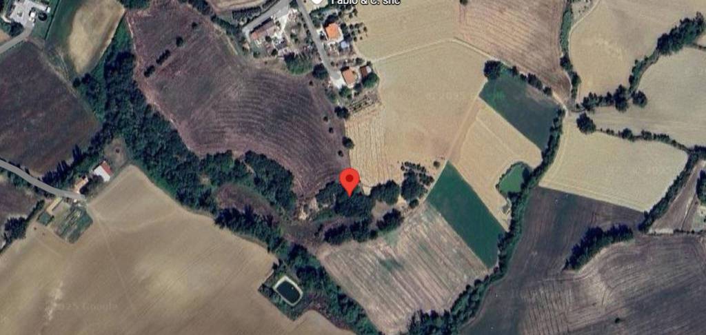 immagine annuncio 8 di 11