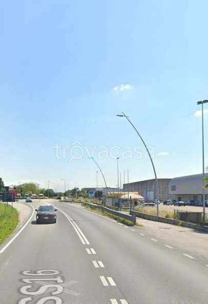 immagine annuncio 9 di 11