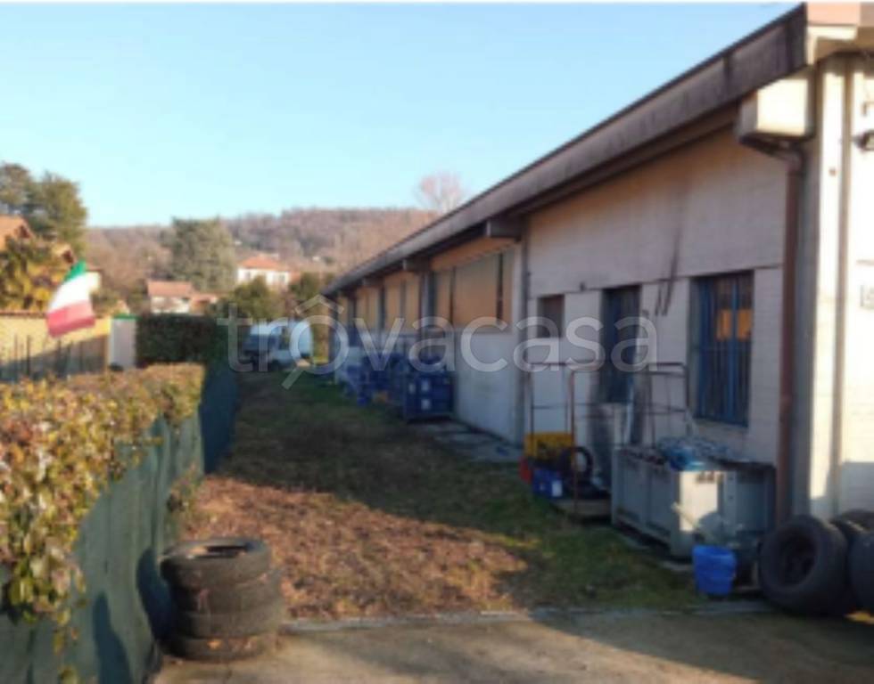 immagine annuncio 1 di 11