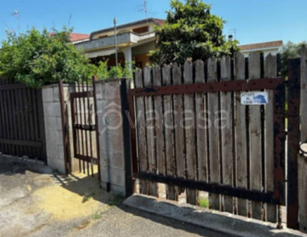 immagine annuncio 2 di 11