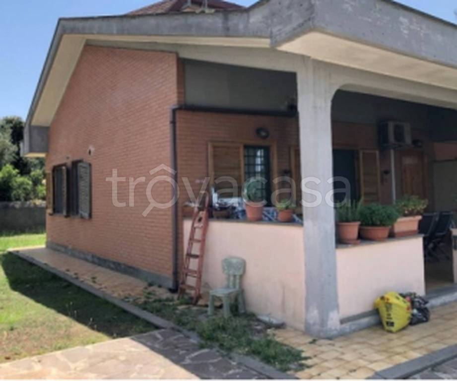 immagine annuncio 3 di 11