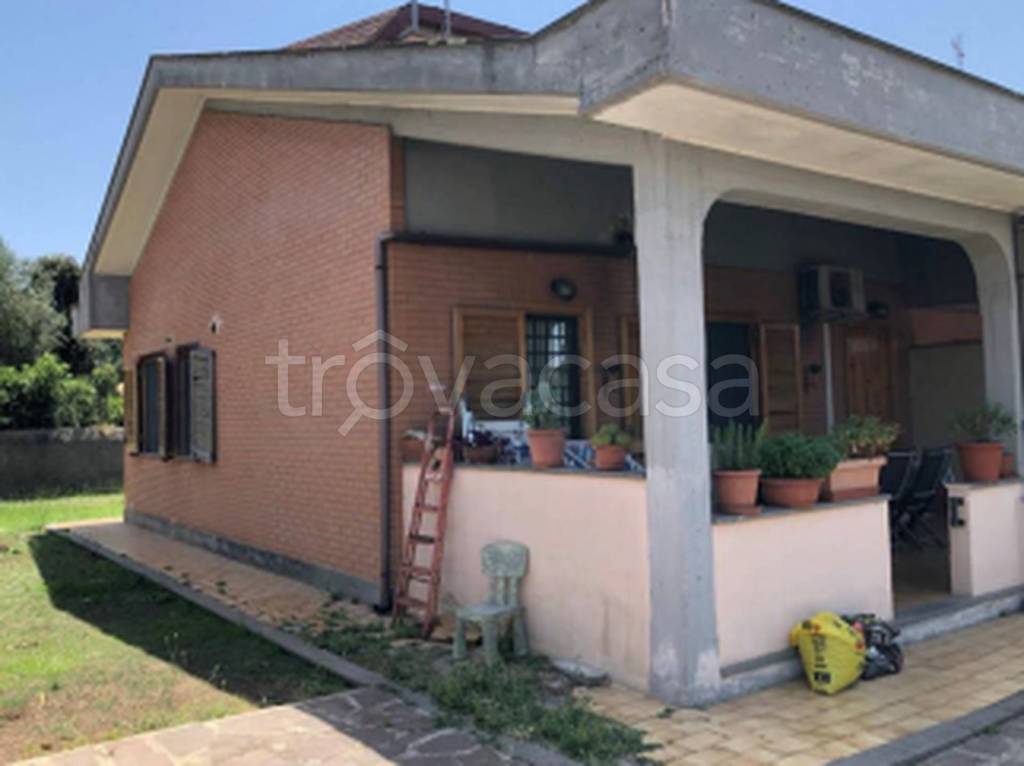 immagine annuncio 6 di 11