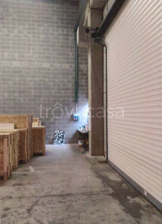 immagine annuncio 3 di 11