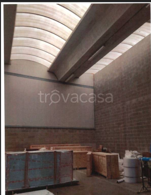 immagine annuncio 6 di 11