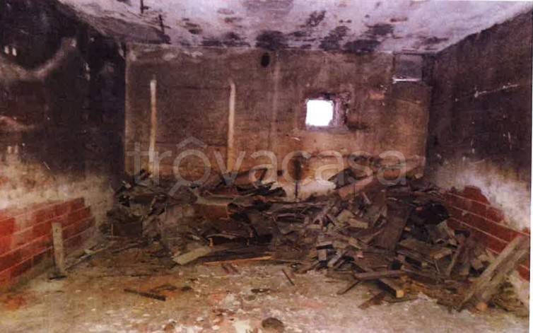 immagine annuncio 5 di 8