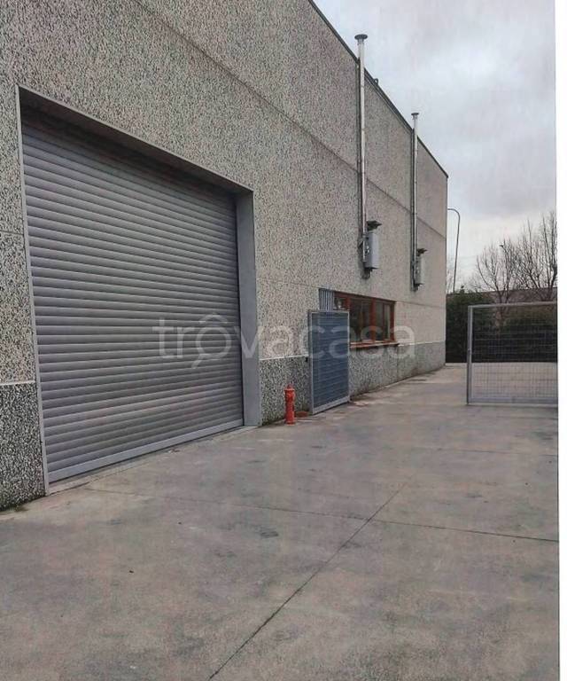 immagine annuncio 8 di 11