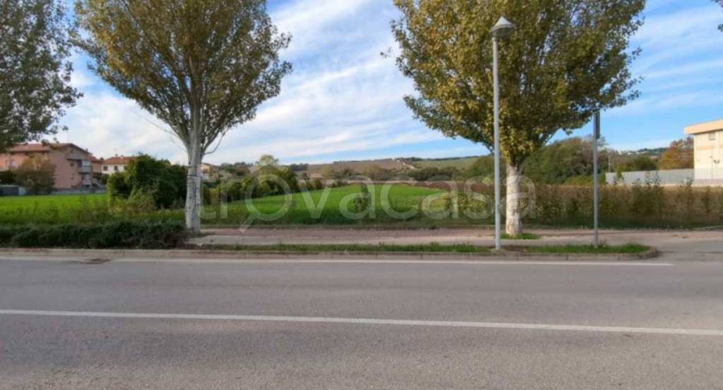 immagine annuncio 2 di 12