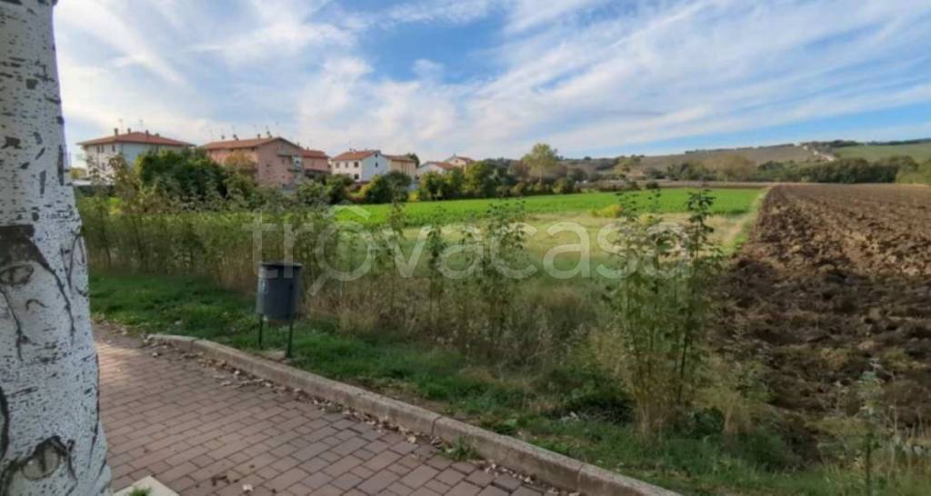 immagine annuncio 3 di 12