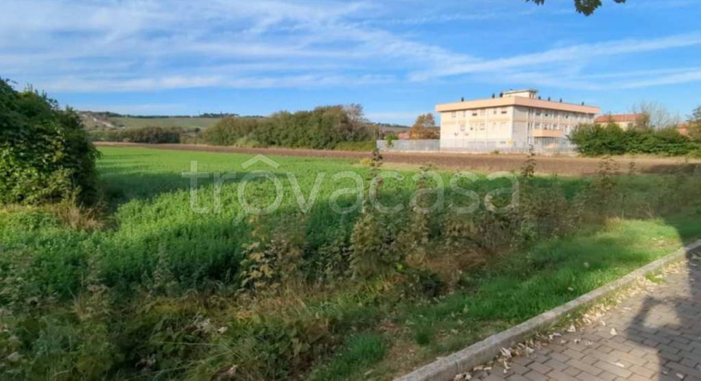 immagine annuncio 4 di 12