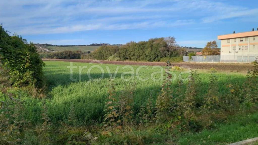 immagine annuncio 5 di 12