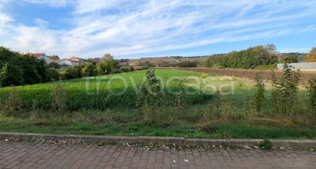 immagine annuncio 6 di 12