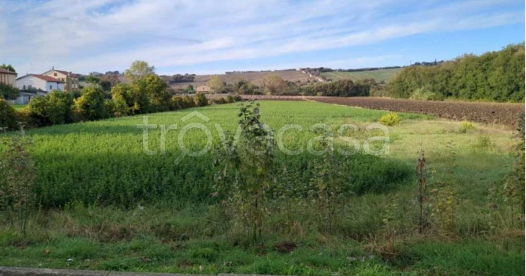 immagine annuncio 7 di 12