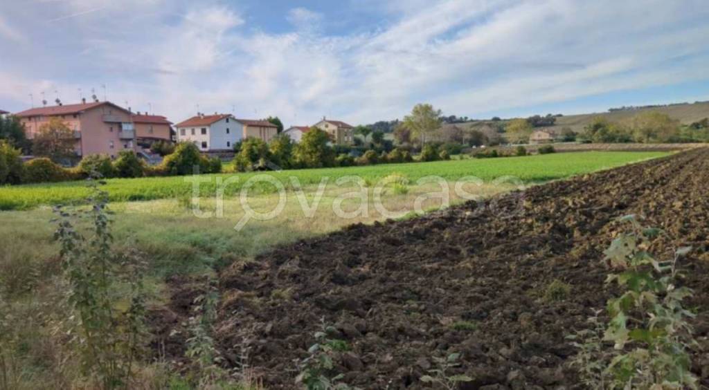 immagine annuncio 8 di 12