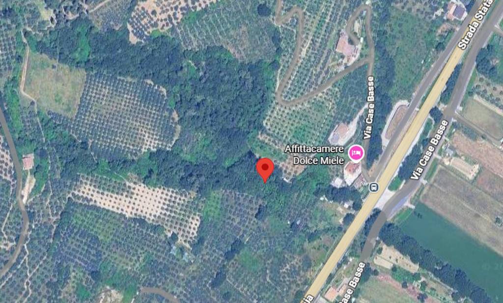 immagine annuncio 2 di 10