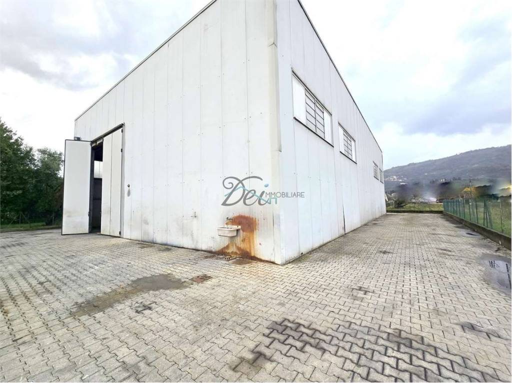 immagine annuncio 2 di 11