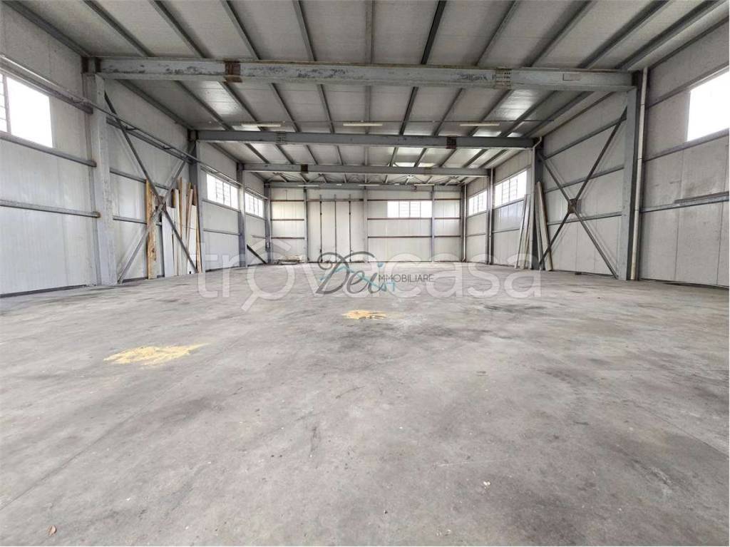 immagine annuncio 4 di 11