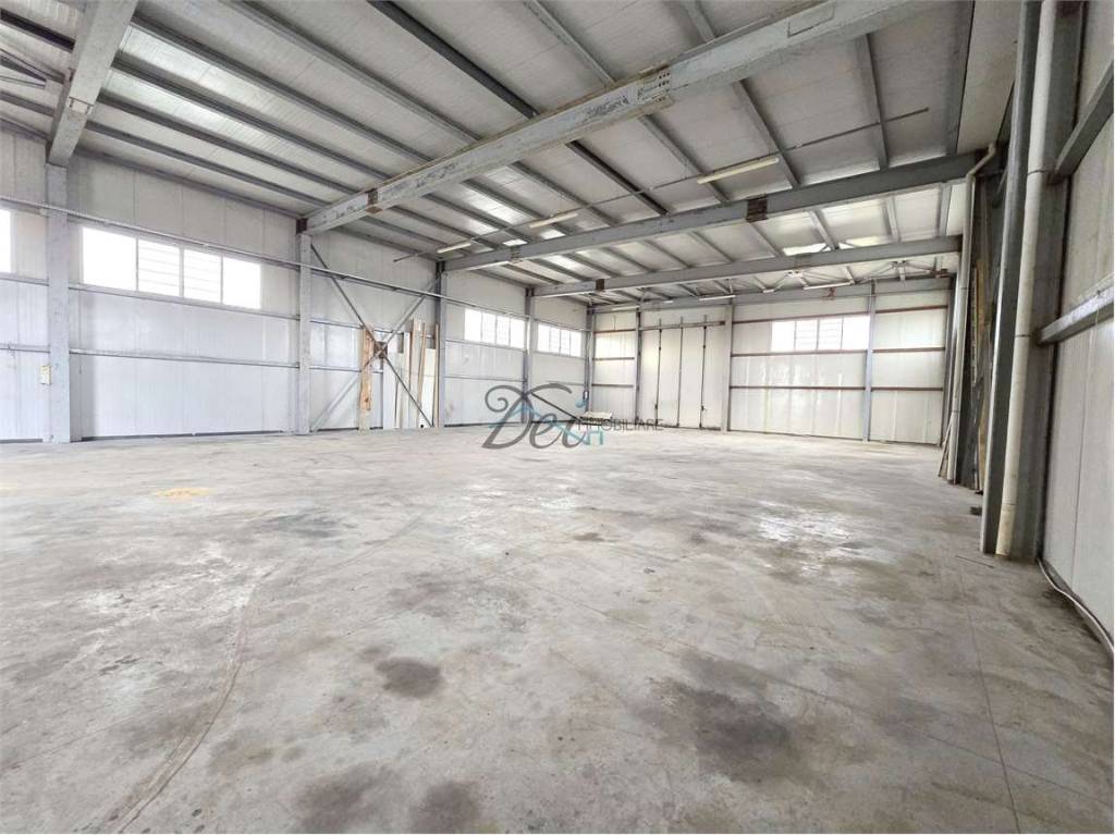 immagine annuncio 5 di 11