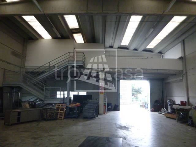 immagine annuncio 9 di 15