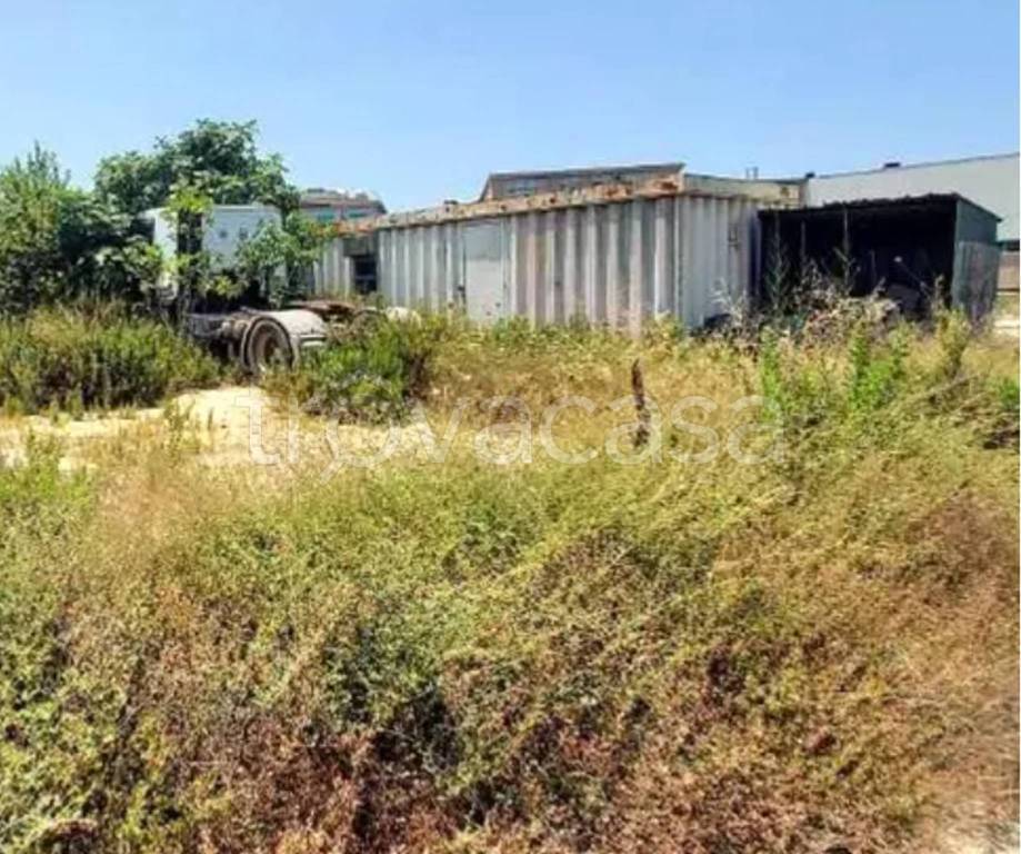 immagine annuncio 8 di 13