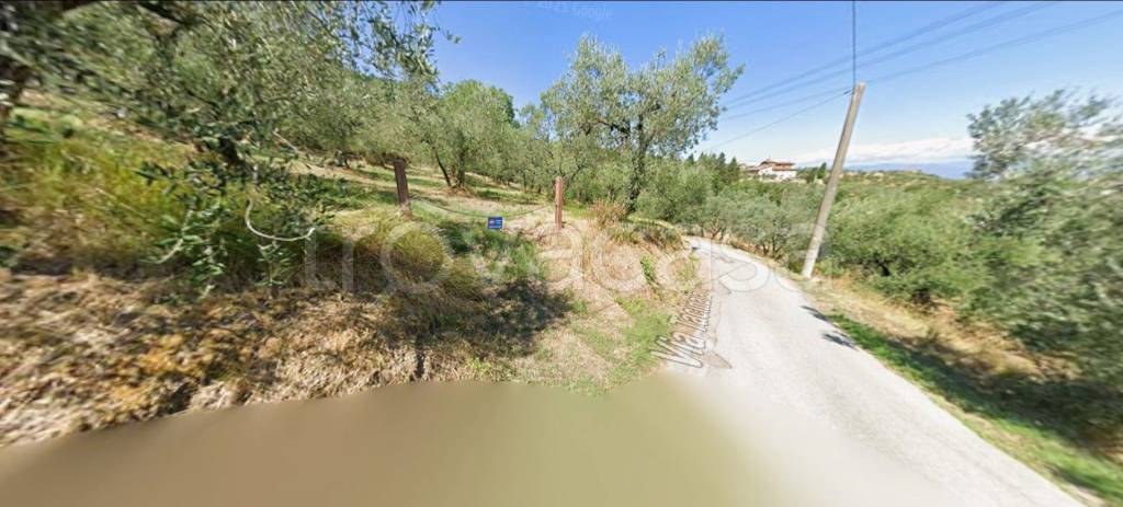 immagine annuncio 5 di 12