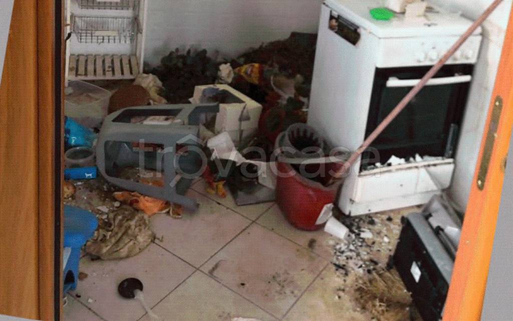 immagine annuncio 11 di 12