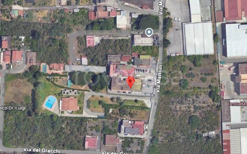 immagine annuncio 5 di 11