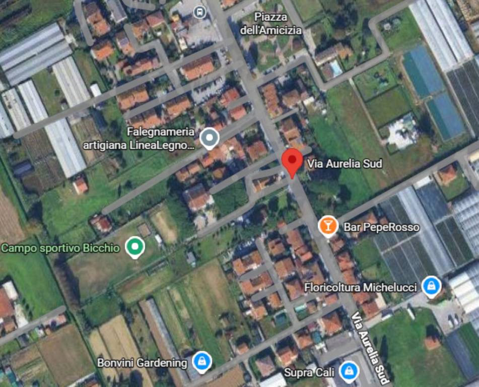 immagine annuncio 9 di 14