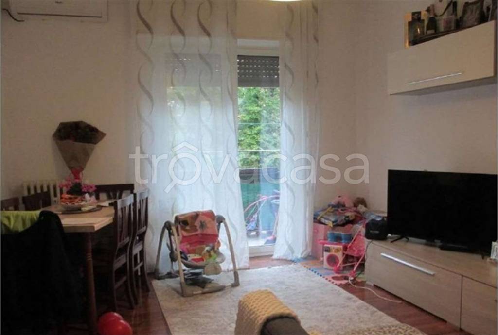 immagine annuncio 3 di 12