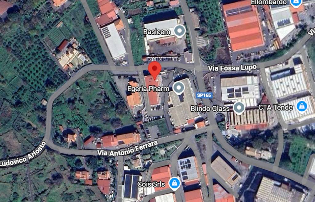 immagine annuncio 2 di 12