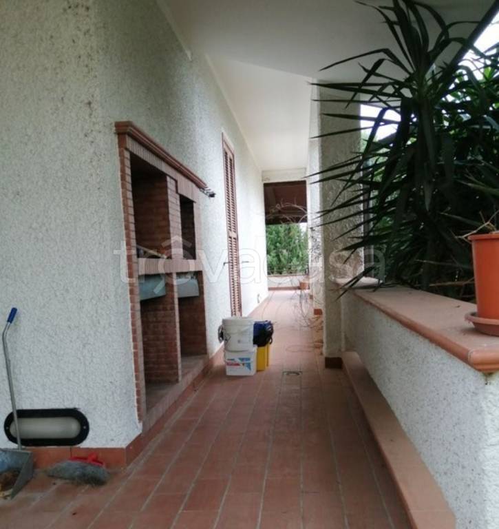 immagine annuncio 5 di 11