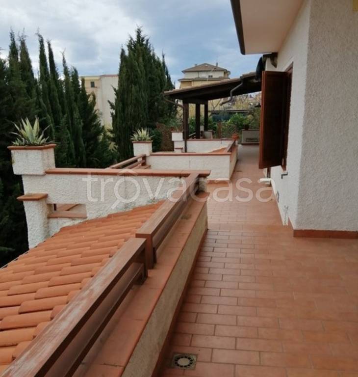 immagine annuncio 7 di 11