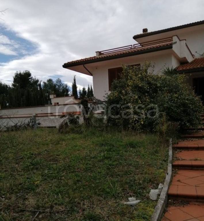 immagine annuncio 9 di 11