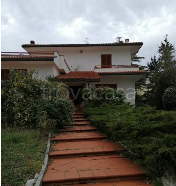 immagine annuncio 10 di 11