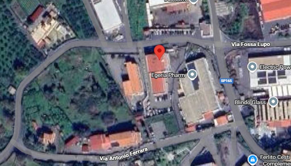 immagine annuncio 11 di 12