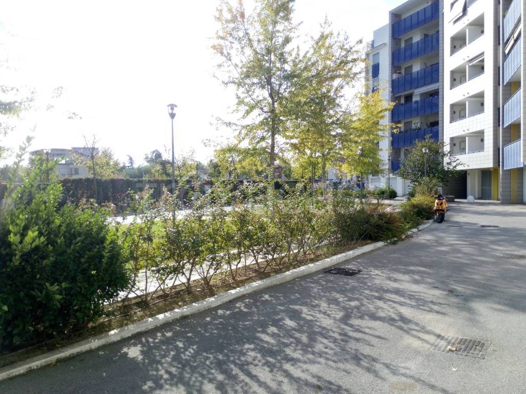 immagine annuncio 8 di 9