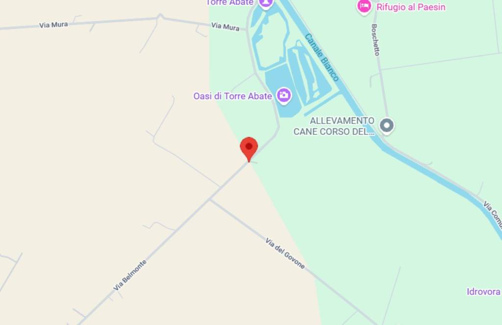 immagine annuncio 9 di 13