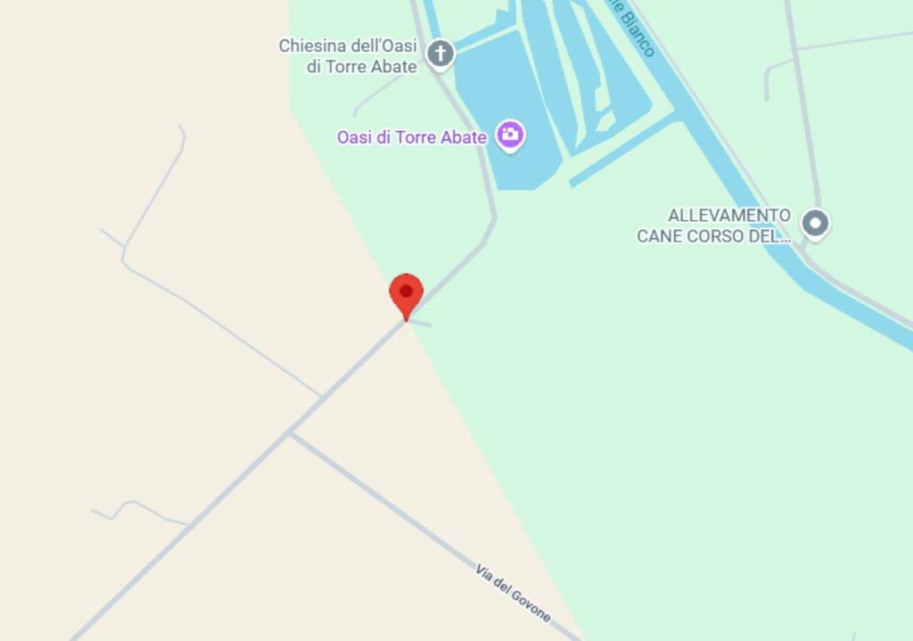 immagine annuncio 10 di 13