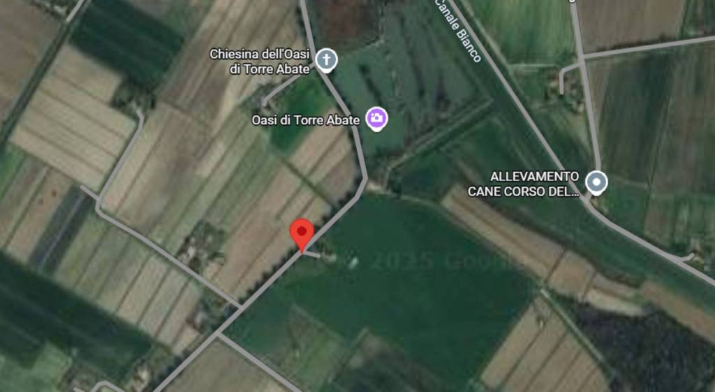 immagine annuncio 11 di 13