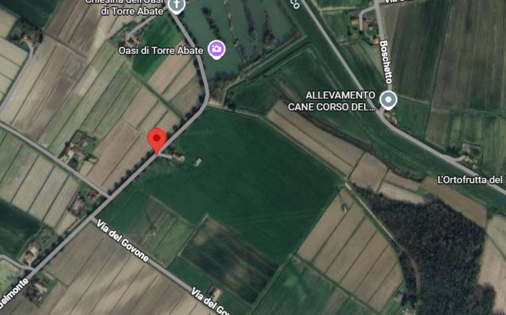 immagine annuncio 12 di 13