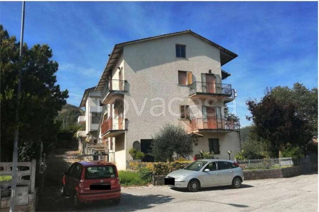 immagine annuncio 1 di 14