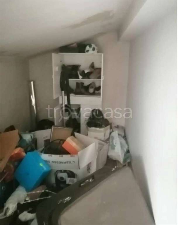 immagine annuncio 2 di 14