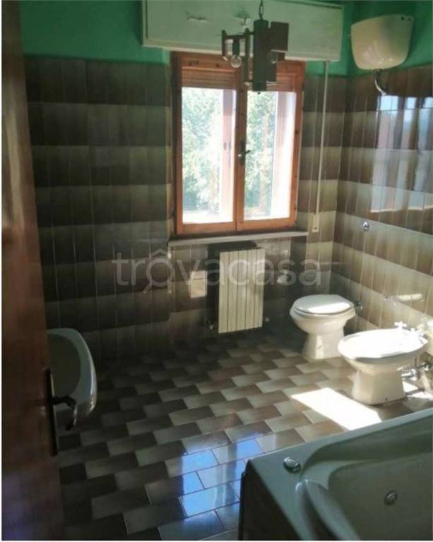 immagine annuncio 5 di 14