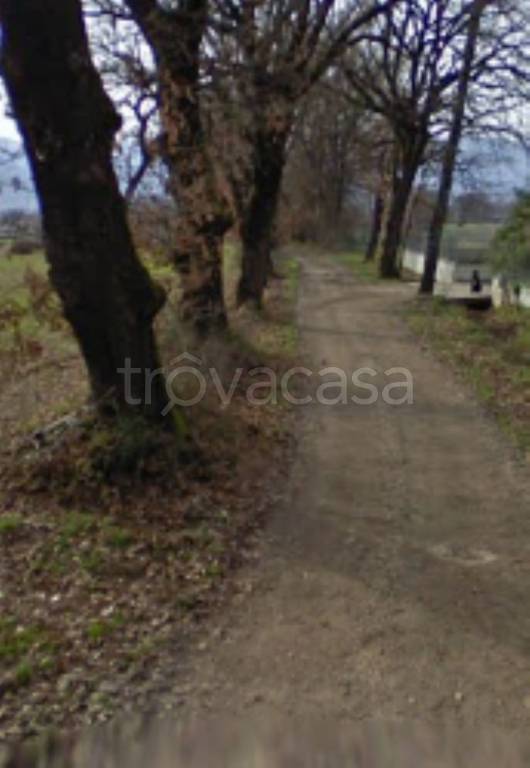 immagine annuncio 2 di 11