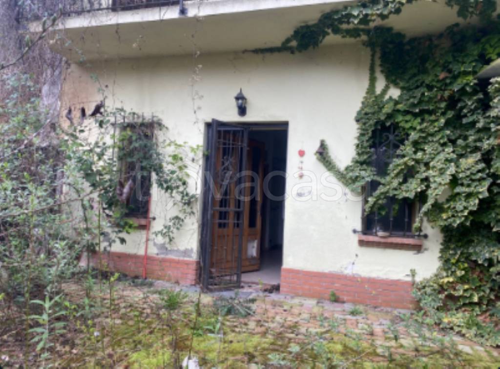 immagine annuncio 5 di 11