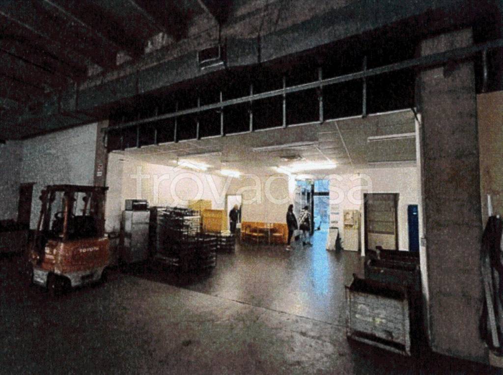 immagine annuncio 5 di 10