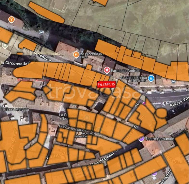 immagine annuncio 6 di 14