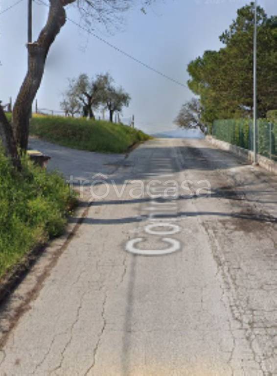 immagine annuncio 2 di 11